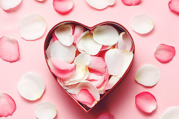 포토 JPG 해외이미지 꽃잎 실내 사람없음 담기 하트상자 세계여성의날 어머니의날 분홍색배경 해외포토 기념일 꽃 분홍색 백그라운드 모션 내부 상자 미국문화 파일형식 이미지허브