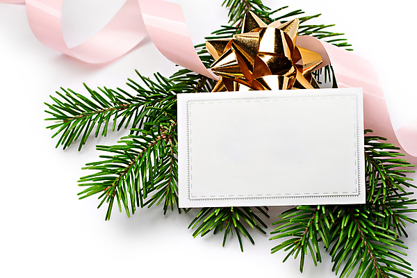 포토 JPG 해외이미지 모양 나무 식물 디자인 계절 실루엣 리본 분홍색 백그라운드 크리스마스 패턴 자연 그림자 사람없음 장식 초록색 노란색 공백 흰색 나뭇가지 신선 바늘 신용카드 황금 숲 묘사 오브젝트 활 부드러움 상록수 침엽수 전나무 내추럴 고립 가문비나무 해외포토 기념일 컬러 무늬 촬영기법 금융 도구 감각 생태계 파일형식 이미지허브