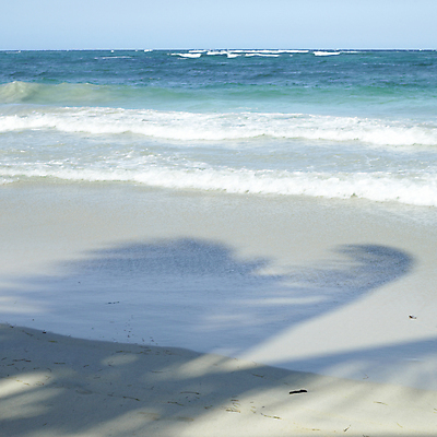 포토 JPG 해외이미지 나무 선 모래 파도 바다 섬 여행 자연 조류 휴가 항해 따뜻함 손바닥 그림자 풍경 사람없음 물 파란색 모래사장 뷰티 맑음 침묵 젖음 뜨거움 쿠바 대서양 이국적 터키석 파라다이스 해외포토 자연요소 식물 동물 손 컬러 배_교통 날씨 소리 중앙아메리카 보석 생태계 파일형식 이미지허브