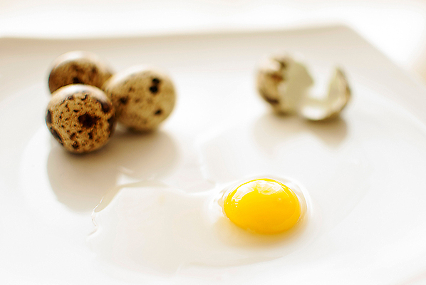 포토 JPG 해외이미지 전통 음식 다이어트 재료 건강 요리 사람없음 목재 갈색 바구니 계란 회색 튀김 시골 신선 사발 볏짚 아침식사 상품 가득함 유기농 날것 발레복 노른자 밀짚 흙더미 제비 베일 오믈렛 내추럴 깨짐 메추리 식용 식품점 채식주의자 해외포토 나무 웰빙 옷 컬러 컨셉 조류 상점 알 식사 흙 사기그릇 짚 계란요리 발레 채식 파일형식 더미 이미지허브