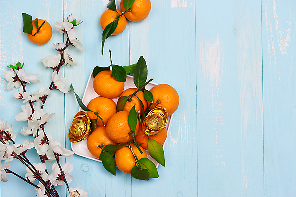 포토 JPG 해외이미지 꽃 귤 실내 사람없음 하이앵글 나무배경 해외포토 식물 뷰포인트 백그라운드 과일 내부 파일형식 이미지허브