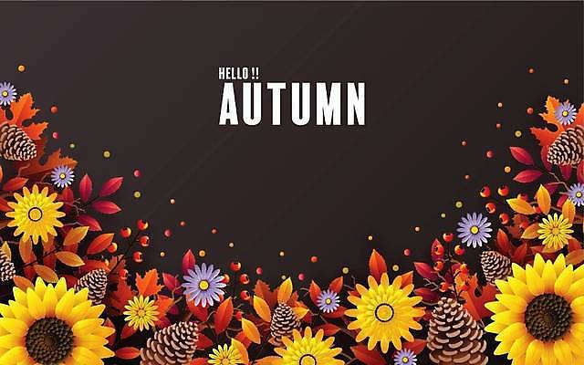 EPS 해외이미지 나무 식물 디자인 배너 계절 꽃 행복 종이 백그라운드 단풍 잎 꽃무늬 오렌지 일러스트 텍스트 자연 벽지 휴가 프레임 따뜻함 장식 빨간색 단어 컬러풀 노란색 세일 버섯 나뭇가지 인사 신용카드 숲 9월 11월 자르기 질감 다람쥐 부엉이 10월 내추럴 엘리먼트 해외일러스트 문자 감정 컬러 무늬 과일 모션 조류 금융 예절 날짜 설치류 생태계 파일형식 벡터 이미지허브