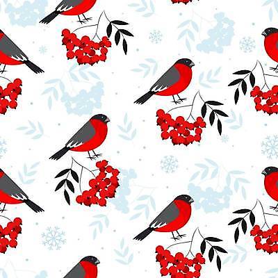 JPG 해외이미지 열매 잎 크리스마스 패턴 여러마리 일러스트 조류 눈꽃 사람없음 빨간색 패턴백그라운드 흰색 눈송이 눈꽃무늬 해외일러스트 식물 동물 기념일 컬러 다수 백그라운드 무늬 눈_날씨 파일형식 이미지허브