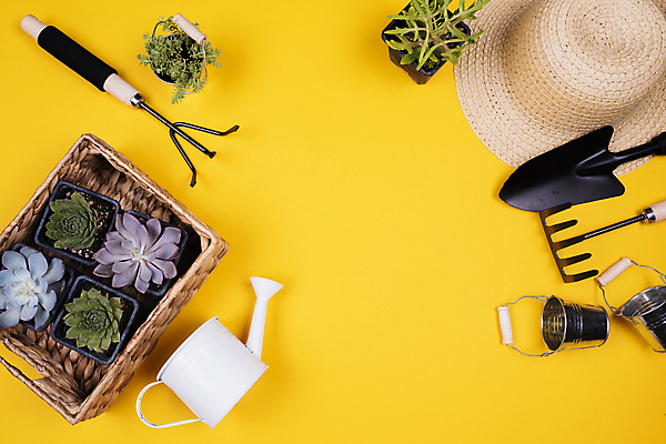 포토 JPG 해외이미지 모자 백그라운드 사람없음 물뿌리개 공구 양동이 원예 미니화분 노란배경 다육식물 원예용품 카피스페이스 해외포토 식물 잡화 화분 생활용품 취미 노란색 공백 도구 파일형식 이미지허브