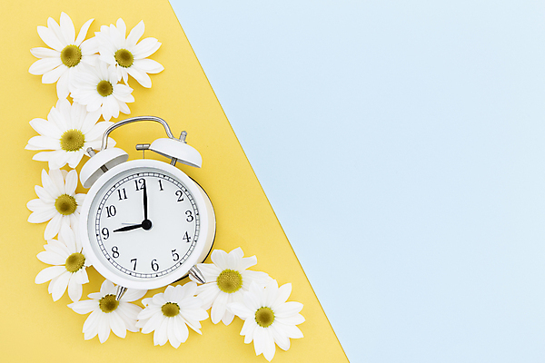 포토 JPG 해외이미지 실내 사람없음 하이앵글 자명종 데이지 파란배경 노란배경 해외포토 꽃 뷰포인트 시계 백그라운드 내부 파란색 노란색 알람 파일형식 이미지허브