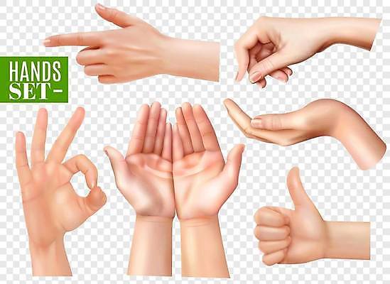 EPS 해외이미지 손 행복 감정 포즈 백그라운드 신체 일러스트 통신 손가락 성공 손바닥 사람 성인 세트 엄지손가락 가리킴 표현 최고 원형 투명 메시지 OK 큼 수집 왼쪽 심볼 사인 만족 신호 긍정 소셜 승인 완벽 현실 해외일러스트 도형 컨셉 손짓 신체부위 크기 방향 파일형식 벡터 이미지허브