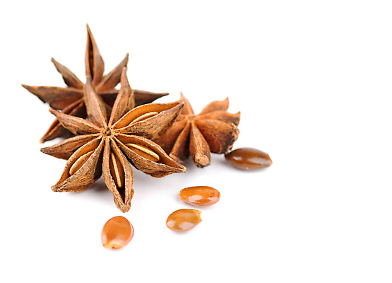 포토 JPG 해외이미지 계절 별 커피 음료 음식 백그라운드 크리스마스 재료 자연 디저트 건조 그림자 요리 씨앗 사람없음 장식 가로 갈색 초콜릿 검은색 어둠 카페 흰색 양념 막대기 닫기 달콤 맛 설탕 굽기 허브 향신료 향기 아로마 나무껍질 향 아로마테라피 고립 모카 바닐라 시나몬 카페인 해외포토 자연요소 나무 식물 기념일 컬러 컨셉 모션 상점 껍질 구이 생태계 냄새 테라피 향미료 파일형식 이미지허브