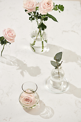 포토 JPG 해외이미지 유리병 실내 그림자 사람없음 장미 꽃병 흰배경 세계여성의날 유칼립투스 어머니의날 해외포토 식물 기념일 꽃 백그라운드 병_용기 내부 흰색 미국문화 파일형식 이미지허브