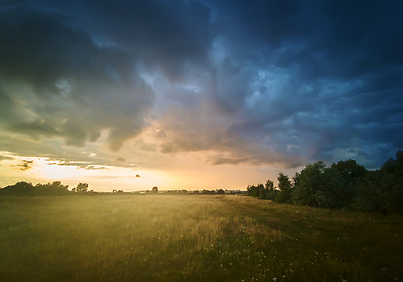 포토 JPG 해외이미지 나무 실루엣 백그라운드 밭 자연 하늘 아침 날씨 산 파노라마 사람없음 가로 파란색 빛 태양 노란색 일출 검은색 어둠 일몰 새벽 저녁 숲 신비 장면 폭풍 내추럴 땅바닥 폭풍우 수평선 카피스페이스 해외포토 주간 자연요소 식물 컬러 컨셉 농업 바닥 촬영기법 노을 공백 비_날씨 야간 자연재해 생태계 파일형식 이미지허브