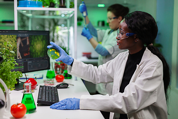 포토 JPG 해외이미지 응시 여자 과학 실내 실험기구 실험 들기 상반신 성인 두명 옆모습 아웃포커스 모니터 실험복 실험실 과학자 삼각플라스크 샬레 연구소 성인여자만 방호복 해외포토 직업 시선 옷 뷰포인트 모션 촬영기법 사람 내부 컴퓨터 가운 플라스크 학자 여자만 성인만 파일형식 이미지허브