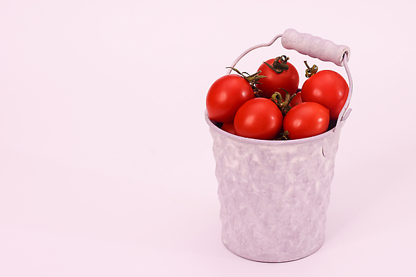 포토 JPG 해외이미지 배너 클리핑패스 음식 조각 백그라운드 농업 다이어트 토마토 채소 과일 재료 자연 건강 사람없음 빨간색 초록색 우주 공백 흰색 신선 원형 그룹 닫기 케첩 자르기 수집 양동이 가득함 오브젝트 싱글 흰배경 유기농 날것 비타민 내추럴 고립 깊이 숙성 영양분 채식주의자 많음 카피스페이스 차단 해외포토 도형 웰빙 산업 컬러 컨셉 모션 소스_음식 생태계 채식 영양소 파일형식 이미지허브