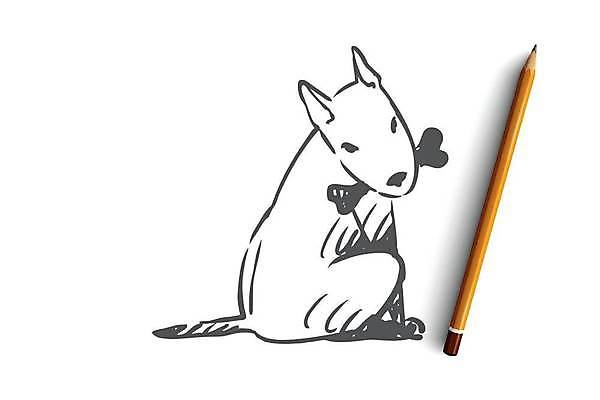 EPS 해외이미지 한마리 컨셉 일러스트 사람없음 반려동물 개 강아지 물기 스케치 손그림 개뼈다귀 해외일러스트 동물 1 포유류 모션 미술 애견간식 파일형식 벡터 이미지허브