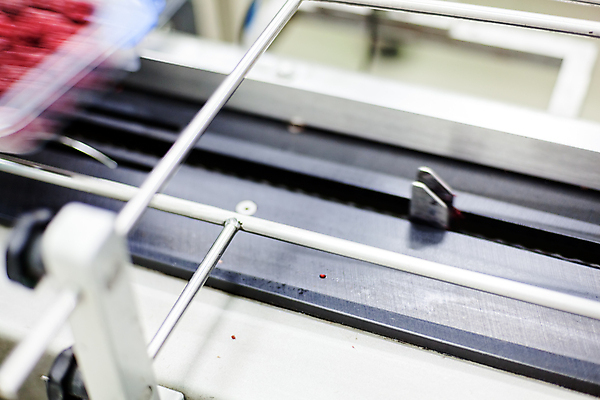 포토 JPG 해외이미지 공장 사람없음 냉동 기계 제조 속도 담기 산딸기 포장용기 식품공장 냉동식품 해외포토 음식 과일 공업 모션 포장재료 파일형식 이미지허브