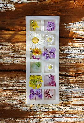 포토 JPG 해외이미지 모양 꽃 백그라운드 자연 건강 미술 사람없음 장식 초록색 물 여름 파란색 빛 뷰티 반사 냉동 얼음 스파 화장품 젖음 추위 흰색 신선 투명 액체 시원함 허브 큐브 오브젝트 상쾌 정사각형 내추럴 고체 토닉 해외포토 자연요소 도형 식물 계절 감정 컬러 문화예술 생태계 파일형식 이미지허브