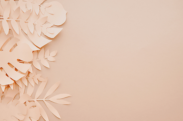 포토 JPG 해외이미지 분홍색 백그라운드 사람없음 3D 페이퍼아트 몬스테라 열대잎 카피스페이스 트로피컬아트 해외포토 식물 컬러 잎 공백 디지털합성 그림 파일형식 이미지허브