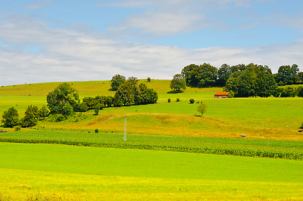 포토 JPG 해외이미지 나무 식물 구름 유럽 지구 잎 밭 농업 자연 하늘 독일 옥수수 씨앗 풍경 잔디 초원 사람없음 야외 초록색 여름 파란색 농장 농경지 계곡 흙 목장 수확 시골 신선 숲 땅 시리얼 뿌리기 언덕 유기농 먼지 내추럴 땅바닥 밭일 바이에른 세련 해외포토 자연요소 웰빙 계절 나라 산업 음식 컬러 모션 곡류 바닥 생태계 파일형식 이미지허브
