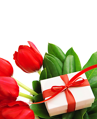 포토 JPG 해외이미지 식물 디자인 꽃 행복 리본 꽃다발 백그라운드 잎 꽃무늬 자연 휴가 기념 발렌타인데이 선물 사랑 사람없음 장식 빨간색 초록색 선물상자 상자 우주 축제 침묵 놀람 봄 튤립 벚꽃 흰색 인사 신선 생일 활 그림 패키지 고립 카피스페이스 국경 해외포토 계절 기념일 감정 컬러 무늬 데이이벤트 표정 소리 공백 예절 생태계 파일형식 이미지허브