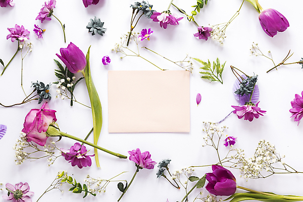 포토 JPG 해외이미지 꽃잎 꽃 종이 줄기 잎 사각프레임 실내 사람없음 하이앵글 장미 튤립 흰배경 안개꽃 카피스페이스 해외포토 식물 뷰포인트 백그라운드 프레임 내부 사각형 공백 흰색 한해살이풀 파일형식 이미지허브