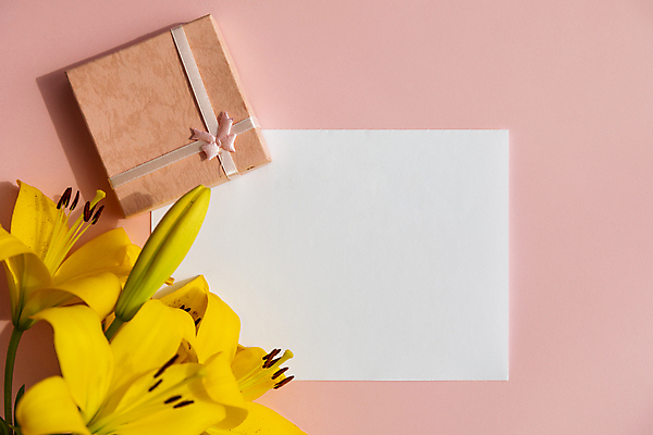 포토 JPG 해외이미지 종이 사각프레임 실내 사람없음 선물상자 하이앵글 카피스페이스 분홍색배경 해외포토 뷰포인트 분홍색 백그라운드 프레임 선물 내부 상자 사각형 공백 파일형식 이미지허브