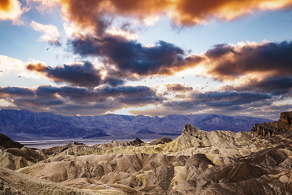 포토 JPG 해외이미지 모래 국립공원 사람없음 미국 사막 캘리포니아 소금 암초 해외포토 공원 북아메리카 파일형식 이미지허브