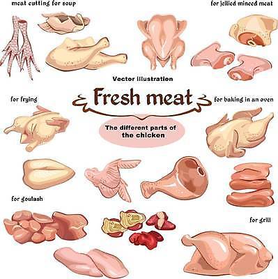 EPS 해외이미지 동물 접시 손 디자인 음식 조각 컨셉 날개 일러스트 부분 발 조류 추상 육류 요리 미술 장식 세트 농장 식사 치킨 신선 그릴 수프 스케치 자르기 굽기 수집 심볼 오브젝트 사인 준비 간 내추럴 고립 다진 엘리먼트 해외일러스트 식기 무늬 농업 식재료 모션 주방용품 문화예술 신체부위 장기_의학 구이 닭고기요리 파일형식 벡터 이미지허브