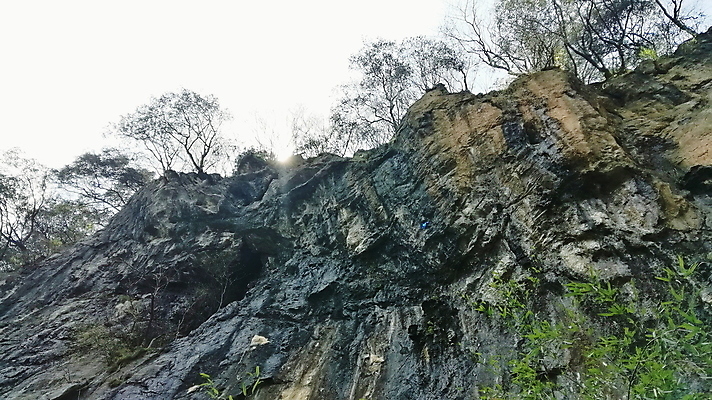 포토 JPG 해외이미지 나무 식물 공원 잎 자연 하늘 사람없음 목재 초록색 환경 나뭇가지 숲 큼 나무껍질 옛날 해외포토 공공시설 컬러 재료 껍질 크기 생태계 파일형식 이미지허브