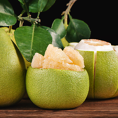 포토 JPG 해외이미지 잎 실내 사람없음 껍질 자몽 담기 과일조각 해외포토 식물 조각 과일 모션 내부 파일형식 이미지허브