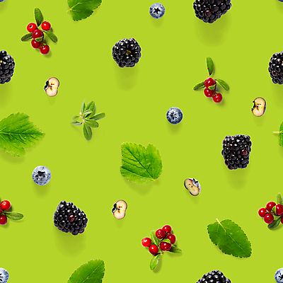 포토 JPG 해외이미지 잎 패턴 단면 사람없음 앵두 블루베리 블랙베리 초록배경 해외포토 식물 열매 백그라운드 무늬 과일 초록색 파일형식 이미지허브