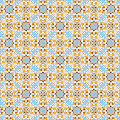 포토 JPG 해외이미지 무늬 패턴 사람없음 해외포토 파일형식 이미지허브