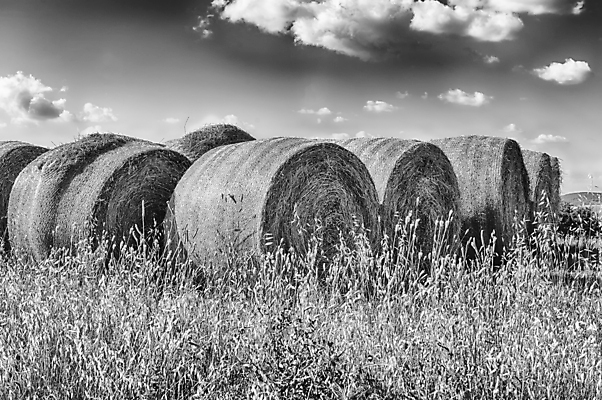 포토 JPG 해외이미지 식물 백그라운드 밭 농업 자연 하늘 건조 옥수수 사람없음 야외 초록색 파란색 농작물 농장 농경지 노란색 쌓기 일몰 수확 시골 원형 황금 건초더미 볏짚 낟알 땅 밀 롤 뭉치 밀짚 내추럴 밭일 호밀 해외포토 도형 산업 컬러 모션 곡류 노을 건초 짚 생태계 파일형식 더미 이미지허브