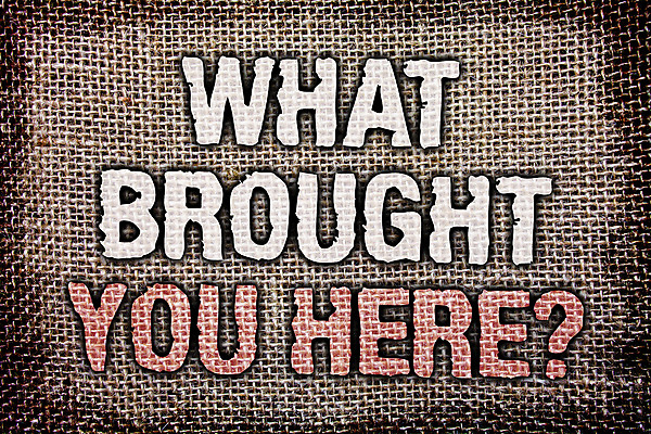 포토 JPG 해외이미지 라이프스타일 행복 여행 컨셉 가이드 곰 안내 항해 선물 사랑 사람없음 꿈 탐험 수확 메시지 목표 계획 결심 기회 쇼 골 조언 패기 자극 해외포토 동물 직업 감정 농업 배_교통 포유류 생활 자신감 파일형식 이미지허브