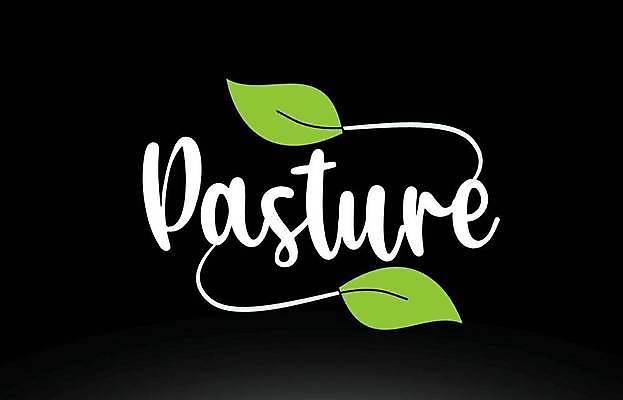 EPS 해외이미지 모양 템플릿 손 디자인 백그라운드 잎 일러스트 회사 텍스트 추상 타이포그라피 초록색 단어 기록 신용카드 심볼 신분 엘리먼트 활자 레터링 해외일러스트 식물 문자 컬러 무늬 비즈니스 신체부위 금융 활자판 파일형식 벡터 이미지허브