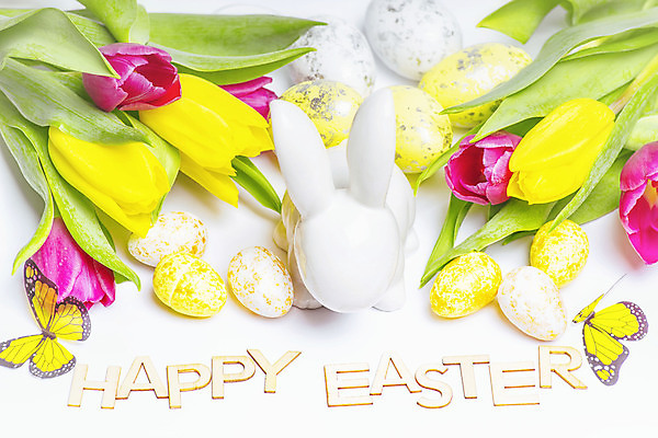 포토 JPG 해외이미지 전통 디자인 계절 행복 종교 음식 분홍색 백그라운드 컨셉 텍스트 탁자 휴가 부활절 미술 사람없음 목재 장식 초록색 파란색 컬러풀 노란색 우주 계란 축제 봄 튤립 흰색 시골 축하 인사 신용카드 그리기 심볼 질감 사냥 파스텔톤 해외포토 나무 기념일 꽃 감정 컬러 가구 재료 모션 문화예술 금융 알 예절 파일형식 이미지허브