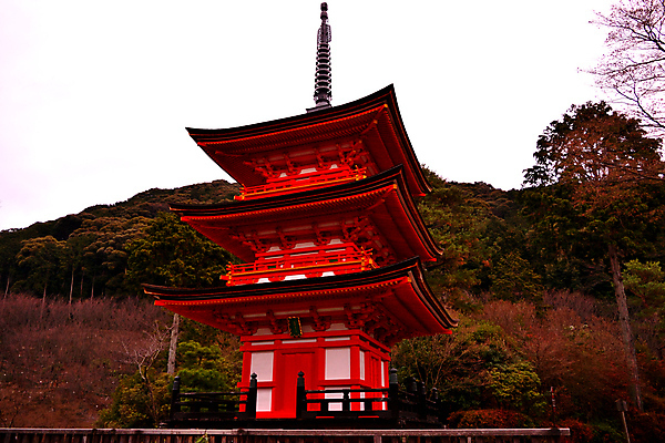 포토 JPG 해외이미지 나무 아시아 종교 문화 여행 단풍 잎 불교 건축양식 자연 지붕 산 3 동양인 사람없음 건물 빨간색 탑 정원 일본 세계문화유산 기도 사찰 역사 교토 숭배 해외포토 식물 건축물 건축 나라 컬러 종교건축 인종 문화재 생태계 파일형식 이미지허브