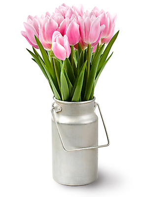 포토 JPG 해외이미지 식물 기념일 꽃잎 꽃 분홍색 꽃다발 잎 꽃무늬 휴가 부활절 선물 사랑 사람없음 장식 초록색 물 뷰티 꽃병 축제 봄 낭만 튤립 벚꽃 흰색 축하 신선 오픈 그룹 사발 다발 심볼 강렬 고립 파스텔톤 많음 해외포토 자연요소 계절 감정 컬러 컨셉 무늬 이벤트 사기그릇 파일형식 이미지허브