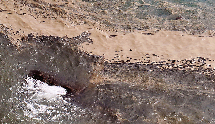 포토 JPG 해외이미지 꽃 바다 표면 날씨 종류 사람없음 물 갈색 환경 줄무늬 뜨거움 산호 12월 온도 해외포토 자연요소 식물 컬러 무늬 날짜 자포동물 파일형식 이미지허브