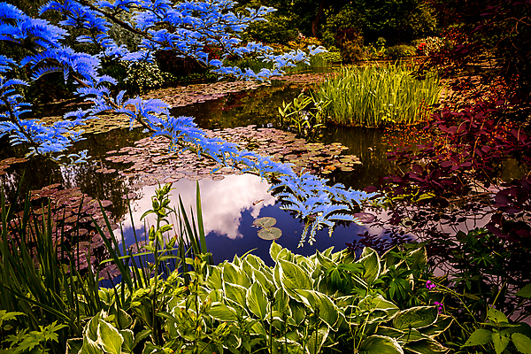 포토 JPG 해외이미지 나무 식물 꽃 호수 사람없음 초록색 물 정원 연못 해외포토 자연요소 컬러 파일형식 이미지허브