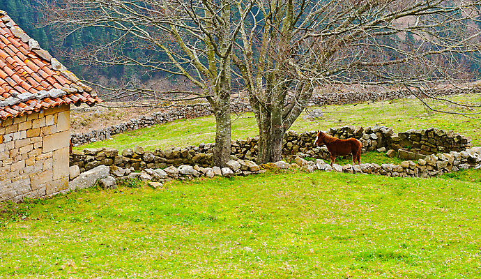 포토 JPG 해외이미지 나무 동물 계절 음식 밭 농업 포유류 자연 산 풍경 잔디 초원 사람없음 야외 초록색 울타리 농장 농경지 마을 계곡 가축 봄 목장 바위 경계선 시골 소 스페인 볏짚 군중 숲 먹이 방목 땅 언덕 갈기 슬로프 밭일 스페인어 찰과상 목가 해외포토 식물 유럽 산업 선 컬러 스키장 사람 담장 돌_바위 짚 축산업 상처 경계 생태계 파일형식 이미지허브