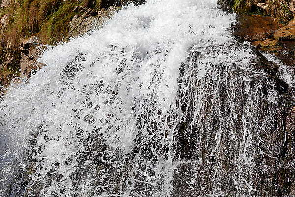 포토 JPG 해외이미지 나무 공원 여행 백그라운드 컨셉 모션 자연 하늘 추상 산 사람없음 초록색 물 파란색 빛 강 평화 힘 봄 폭포 젖음 흐름 흰색 신선 개울 떨어짐 숲 큼 순수 분무기 해외포토 자연요소 식물 계절 공공시설 컬러 무늬 크기 생태계 파일형식 이미지허브