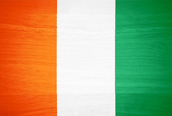 포토 JPG 해외이미지 디자인 벽 백그라운드 패턴 오렌지 자연 벽지 표면 바닥 프레임 사람없음 목재 장식 초록색 수확 흰색 깃발 판넬 거친 널 천 심볼 묘사 사인 그림 질감 복고 상아 애국심 내추럴 그런지 옛날 전국 효과 해외포토 나무 컬러 무늬 농업 과일 재료 직물 생태계 파일형식 이미지허브