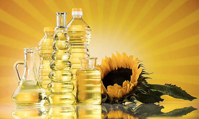 포토 JPG 해외이미지 잎 유리병 해바라기 실내 사람없음 반사 다양 식용유 올리브오일 노란배경 오일병 카놀라 해바라기씨유 해외포토 식물 꽃 다수 백그라운드 병_용기 내부 노란색 기름_음식 파일형식 이미지허브