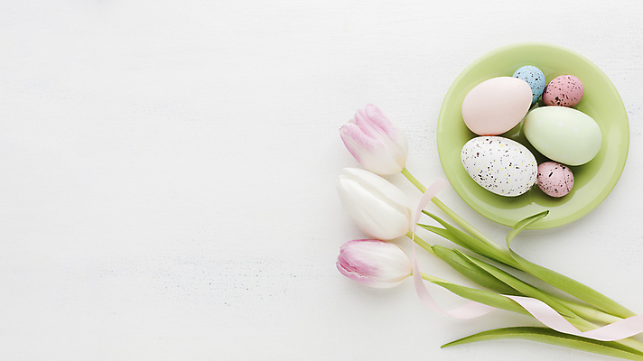 포토 JPG 해외이미지 접시 리본 실내 사람없음 하이앵글 튤립 흰배경 부활절계란 메추리알 카피스페이스 해외포토 식기 꽃 뷰포인트 백그라운드 부활절 내부 계란 알 공백 흰색 파일형식 이미지허브