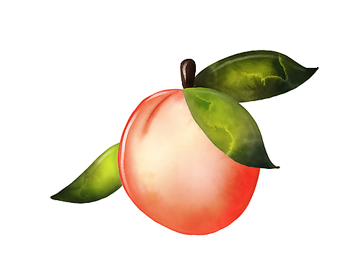 포토 JPG 해외이미지 식물 손 디자인 음식 분홍색 백그라운드 잎 일러스트 자연 건강 요리 사람없음 그래픽 장식 빨간색 초록색 컬러풀 정원 흰색 신선 달콤 맛 만화 볼터치 먹기 오브젝트 그림 복숭아 내추럴 고립 살구 숙성 엘리먼트 채식주의자 천도복숭아 현실 해외일러스트 컬러 컨셉 과일 모션 신체부위 화장 생태계 채식 파일형식 이미지허브