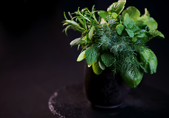 포토 JPG 해외이미지 잎 채소 검은배경 사람없음 초록색 조미료 민트 허브 향신료 담기 바질 로즈메리 스피아민트 해외포토 식물 컬러 백그라운드 모션 검은색 향미료 파일형식 이미지허브