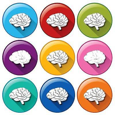 EPS 해외이미지 일러스트 사람없음 세트 컬러풀 원형 뇌 해외일러스트 도형 컬러 파일형식 벡터 이미지허브