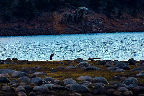 포토 JPG 해외이미지 호수 모래 파도 바다 여행 오렌지 조류 하늘 아침 휴가 산 사람없음 야외 물 태양 마을 일출 새벽 만 왜가리 방파제 암초 콜로라도 해외포토 주간 자연요소 동물 공공시설 과일 노을 미국 파일형식 이미지허브
