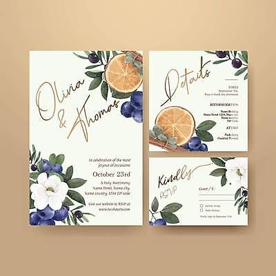 EPS 해외이미지 템플릿 꽃 결혼 잎 일러스트 단면 귤 사람없음 흰색 청첩장 블루베리 초대 시나몬스틱 해외일러스트 식물 컬러 과일 카드_감사 이벤트 시나몬 파일형식 벡터 이미지허브