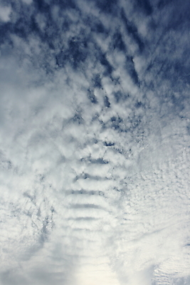 포토 JPG 해외이미지 계절 실루엣 모래 파도 바다 분홍색 섬 여행 자연 벽지 하늘 아침 휴가 휴식 사람없음 목재 빨간색 초록색 물 빛 햇빛 태양 여행객 일출 맑음 일몰 새벽 꿈 나뭇가지 저녁 큼 내추럴 이국적 파라다이스 수평선 해외포토 주간 자연요소 나무 컬러 컨셉 재료 날씨 촬영기법 사람 노을 야간 크기 생태계 파일형식 이미지허브
