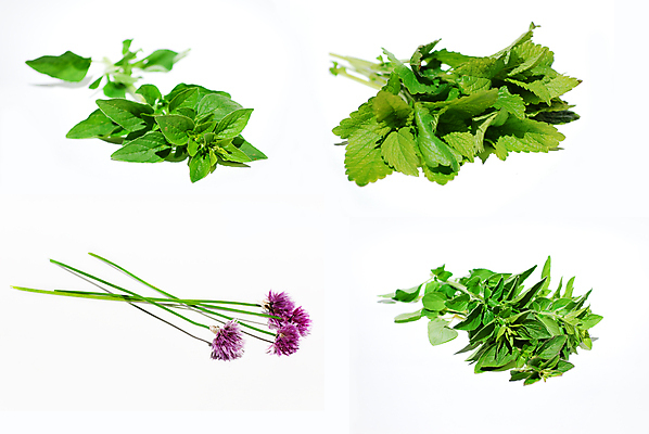 포토 JPG 해외이미지 식물 음식 잎 건강 요리 사람없음 초록색 주방 신선 개화 수집 허브 향신료 흰배경 원예 향 성분 내추럴 쪽파 바이오 오레가노 해외포토 꽃 컬러 백그라운드 취미 흰색 파 향미료 파일형식 이미지허브