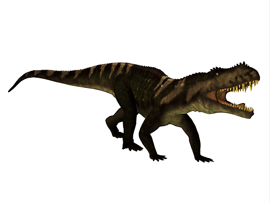 포토 JPG 해외이미지 동물 척추동물 일러스트 파충류 자연 생물 종류 사람없음 3D 걷기 진화 치아 공룡 흰배경 그림 도마뱀 육식동물 고생물 멸종 브라질 선사시대 원시시대 고립 기간 발톱 해외일러스트 백그라운드 모션 발 흰색 소화기관 남아메리카 역사 소방 디지털합성 생태계 파일형식 이미지허브